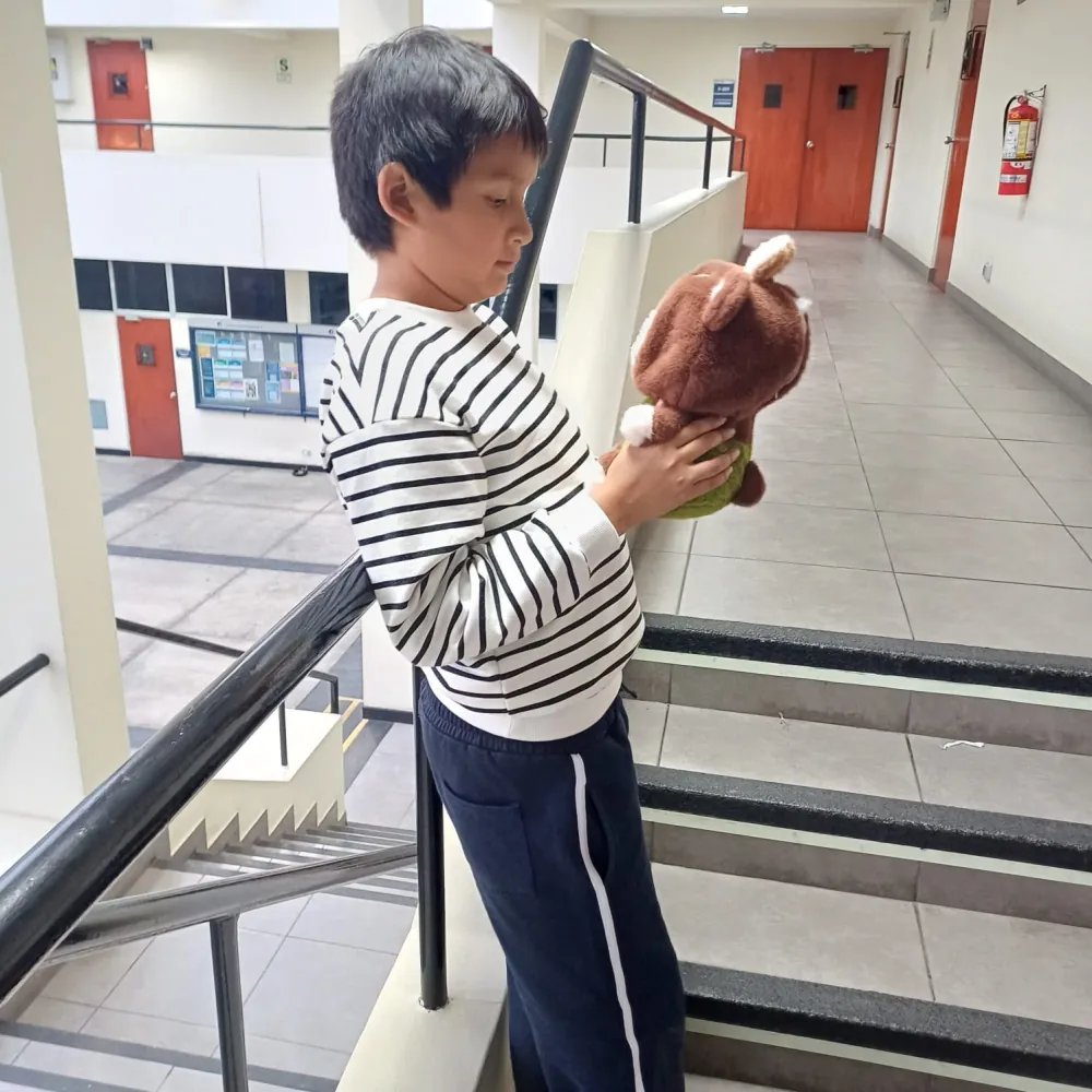 Un niño sostiene a Nebu Mapache mientras lo observa