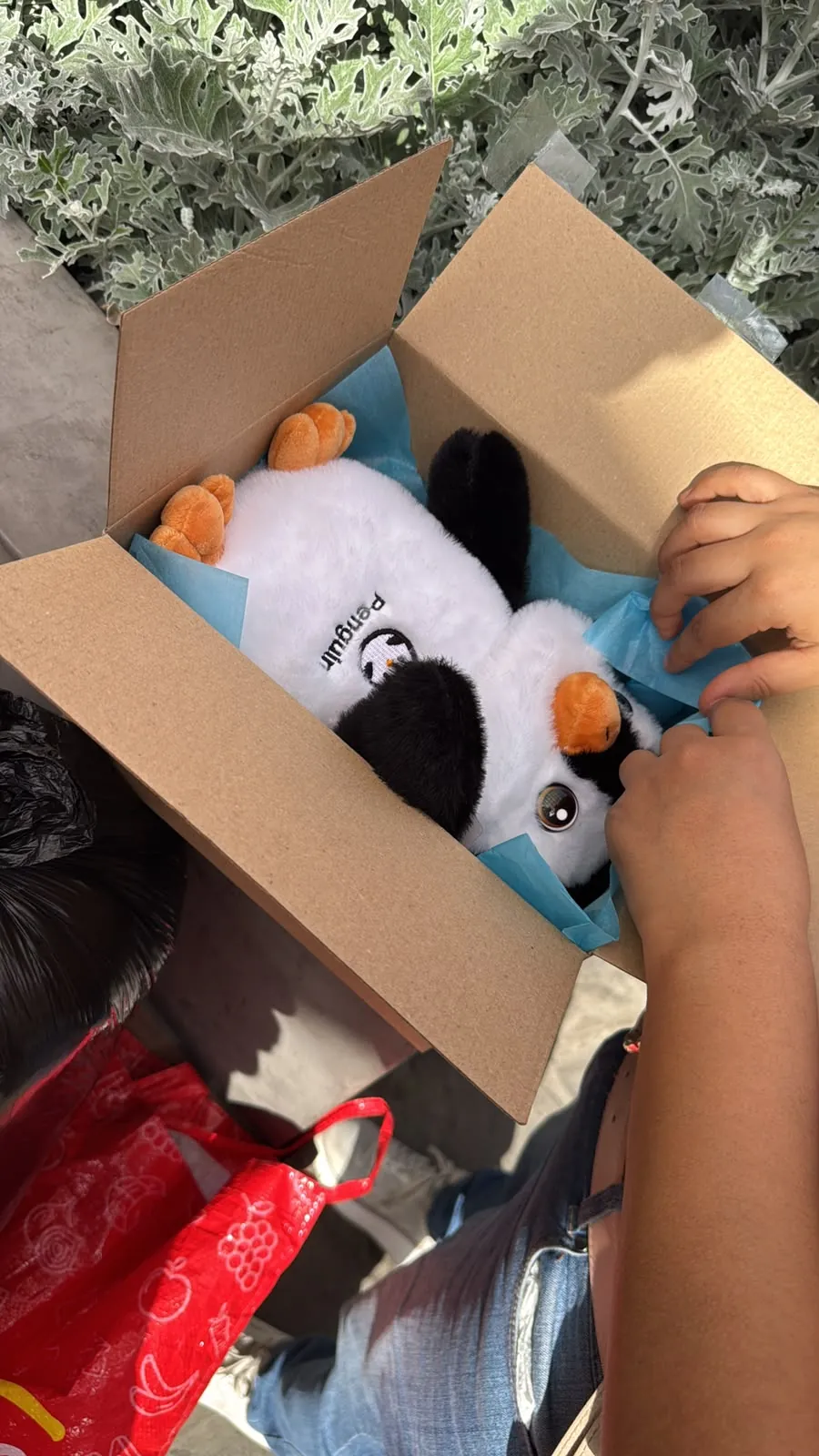 Un niño abre la caja y descubre a Nebu Pingüino
