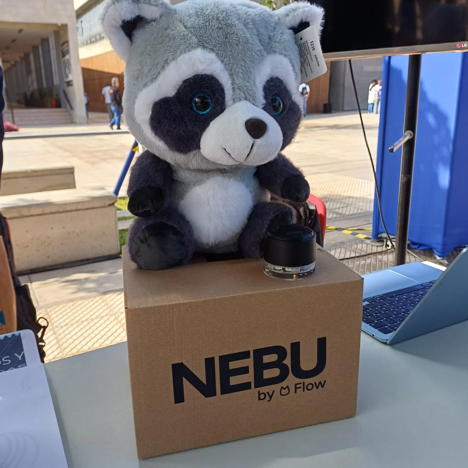 Nebu Mapache junto a su caja